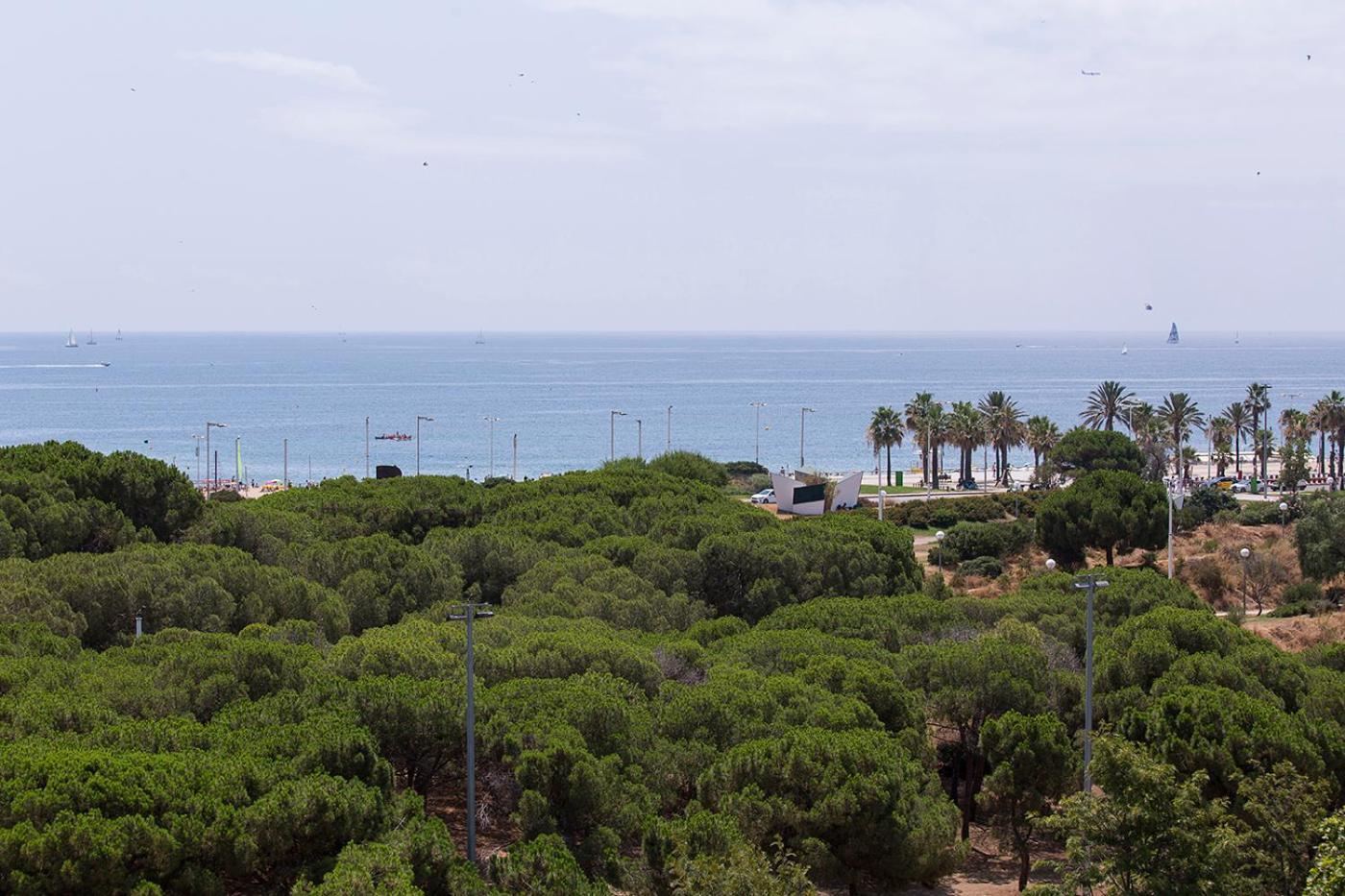 One-Bedroom Apartment Sea View